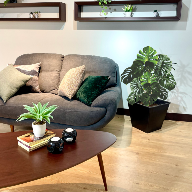 Innovalo Home